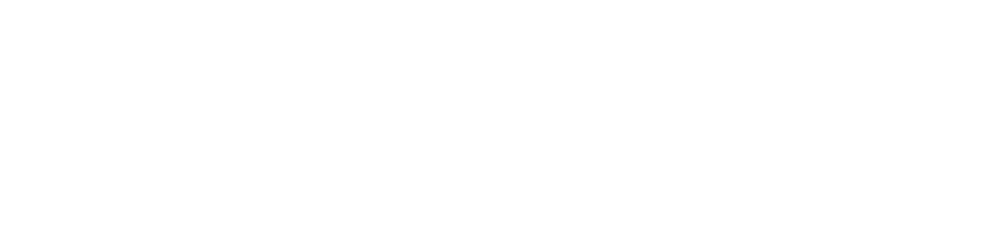 Vox Machina